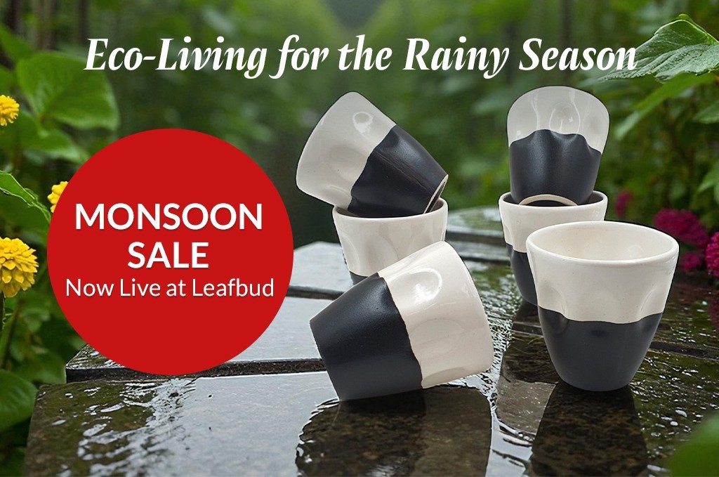 monsoon offer and sale