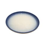 Leafbud Coastal Ember Meal Plate - Image 4