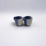 Leafbud taiji cup 2