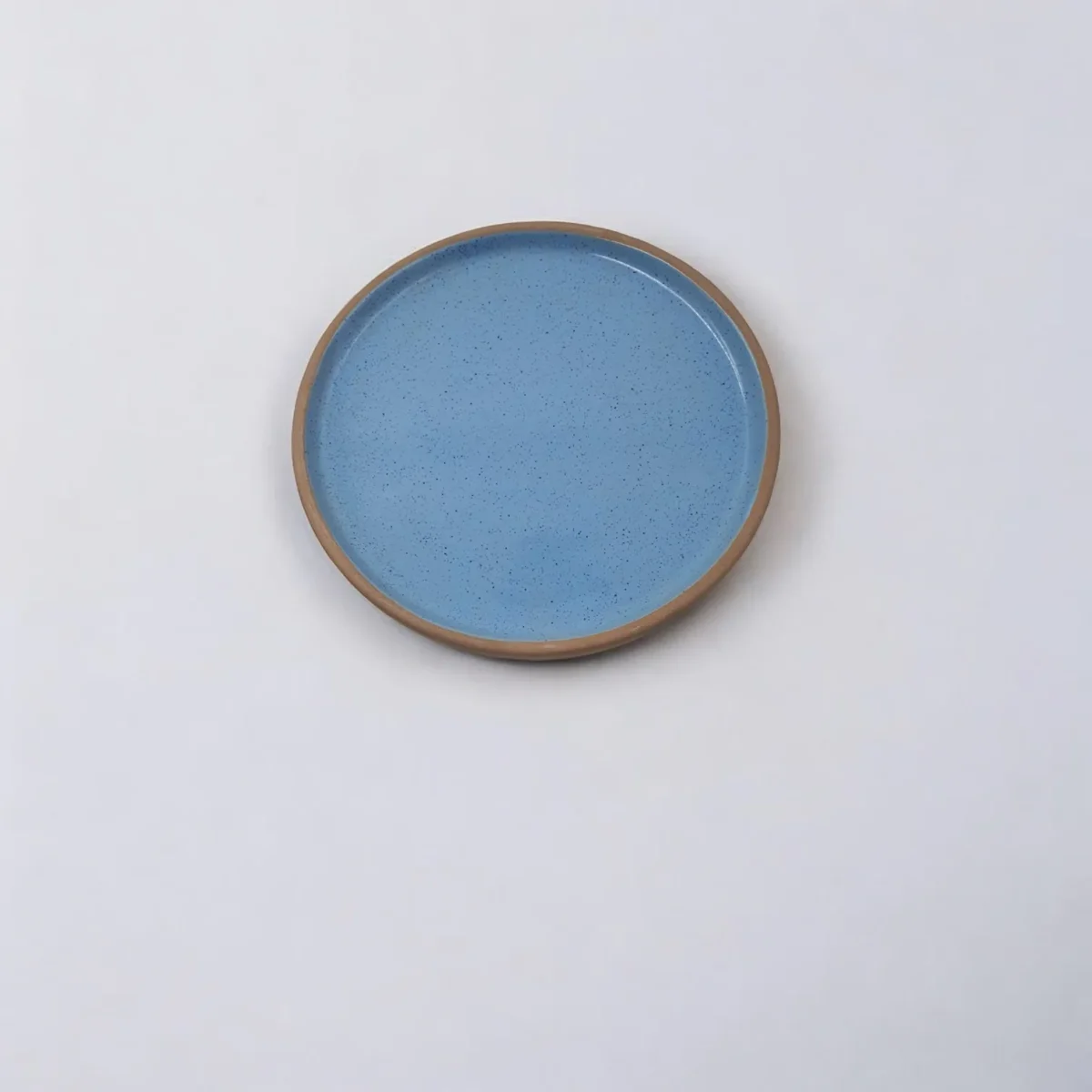 Leafbud aquamarine serving platter 8