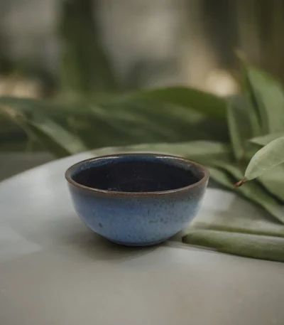 Leafbuds galactic blues portion bowl