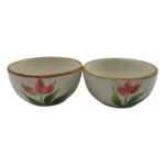 Photoroom 024 20240731