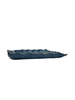 Sp10 wc blue 1p