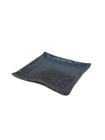 Sp8 wc blue 1p