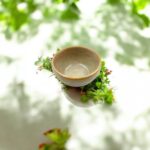 Photoroom 20250614